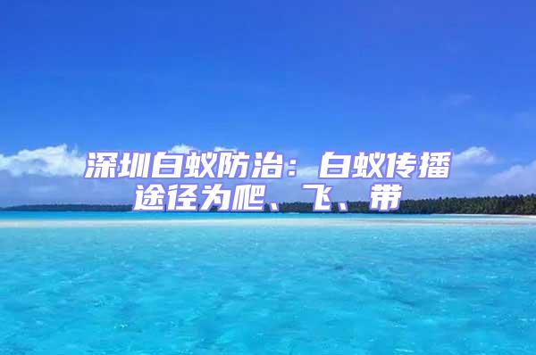 深圳白蟻防治:白蟻傳播途徑為爬、飛、帶