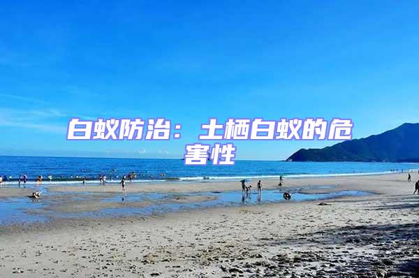 白蟻防治:土棲白蟻的危害性