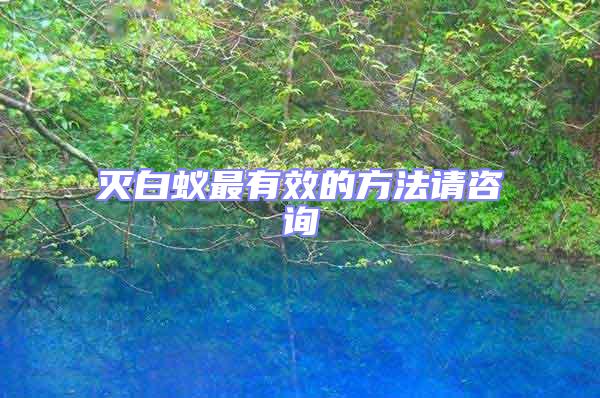 滅白蟻?zhàn)钣行У姆椒ㄕ?qǐng)咨詢