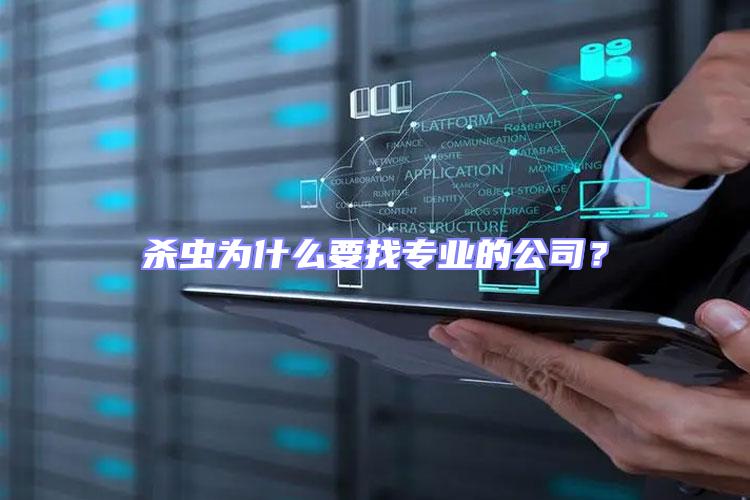 殺蟲為什么要找專業(yè)的公司?