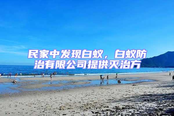 民家中發現白蟻,白蟻防治有限公司提供滅治方