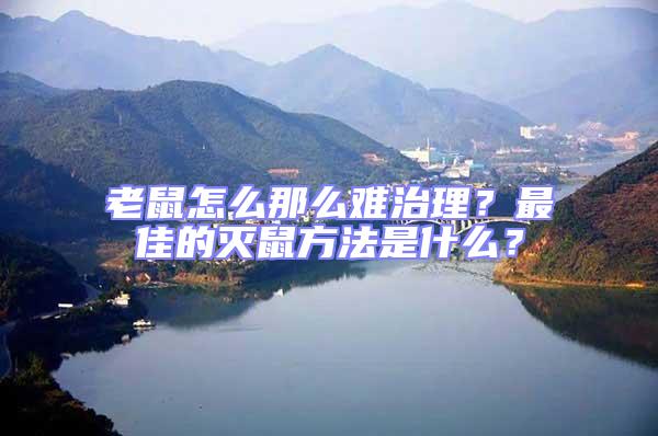 老鼠怎么那么難治理?最佳的滅鼠方法是什么?