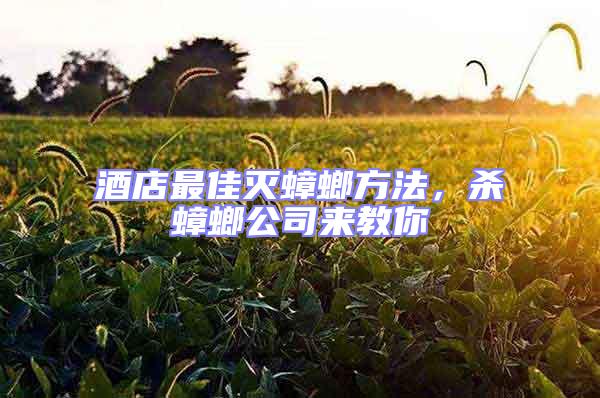 酒店最佳滅蟑螂方法,殺蟑螂公司來教你