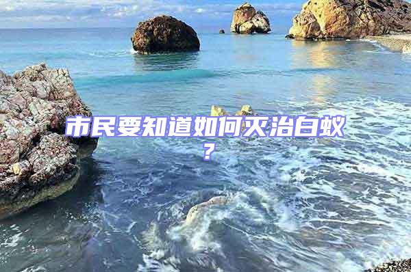 市民要知道如何滅治白蟻?