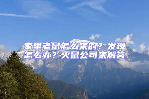家里老鼠怎么來的?發(fā)現(xiàn)怎么辦?滅鼠公司來解答