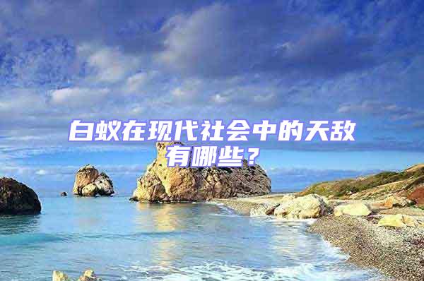 白蟻在現代社會中的天敵有哪些?