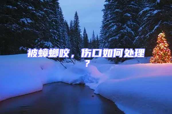 被蟑螂咬，傷口如何處理？