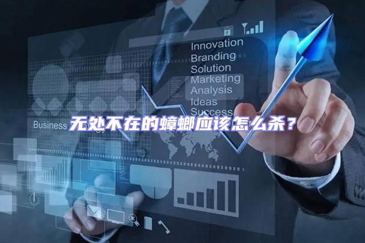 無處不在的蟑螂應該怎么殺?