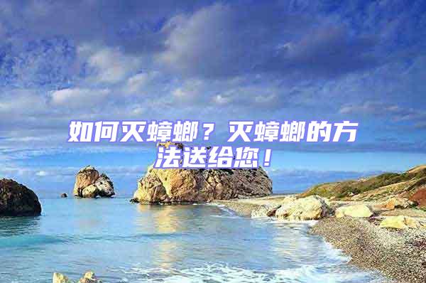 如何滅蟑螂?滅蟑螂的方法送給您!