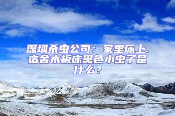 深圳殺蟲公司:家里床上.宿舍木板床黑色小蟲子是什么?