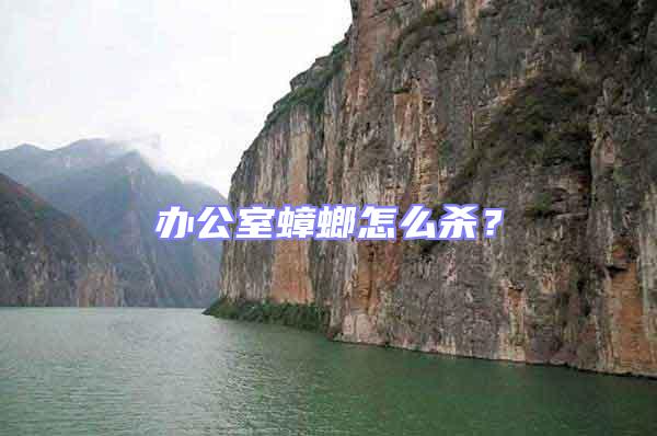 辦公室蟑螂怎么殺?