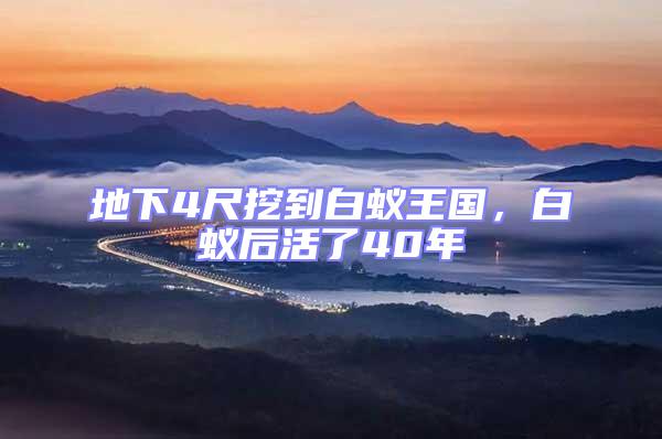 地下4尺挖到白蟻王國,白蟻后活了40年
