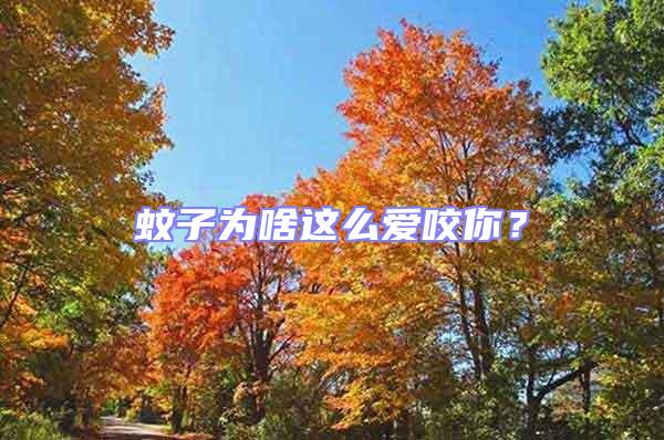 蚊子為啥這么愛咬你?