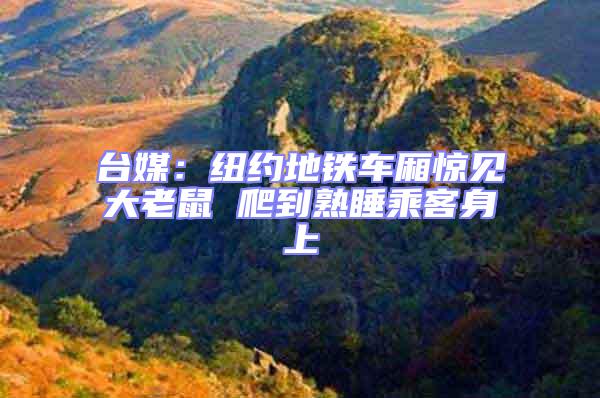 臺媒:紐約地鐵車廂驚見大老鼠 爬到熟睡乘客身上