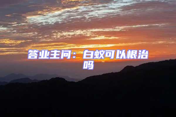 答業(yè)主問:白蟻可以根治嗎