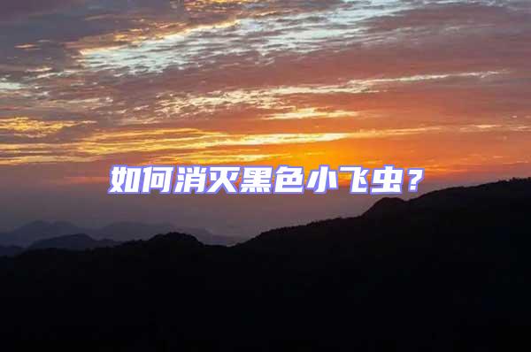 如何消滅黑色小飛蟲?