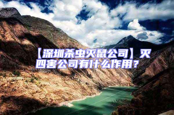 【深圳殺蟲滅鼠公司】滅四害公司有什么作用？