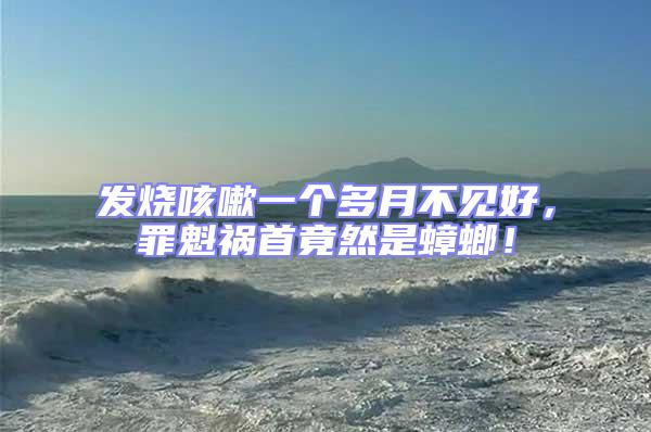 發燒咳嗽一個多月不見好,罪魁禍首竟然是蟑螂!