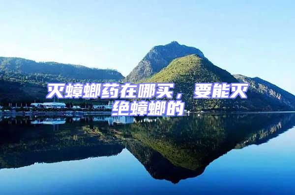 滅蟑螂藥在哪買,要能滅絕蟑螂的