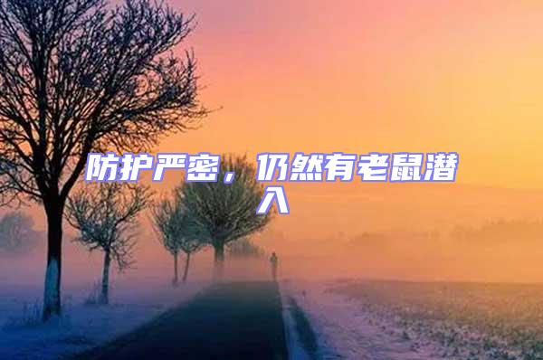 防護嚴密,仍然有老鼠潛入