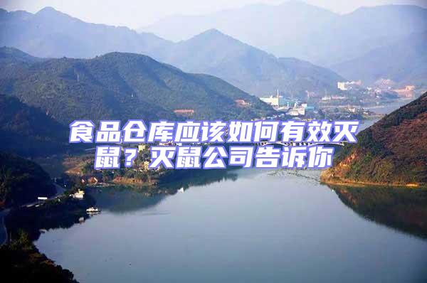 食品倉庫應(yīng)該如何有效滅鼠?滅鼠公司告訴你