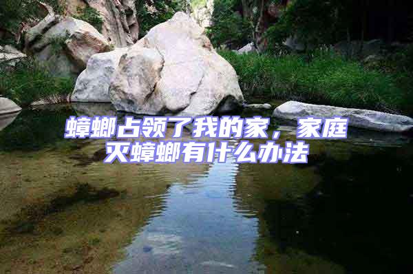 蟑螂占領了我的家,家庭滅蟑螂有什么辦法