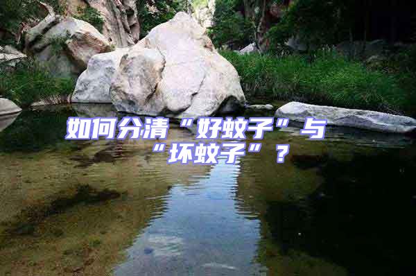 如何分清“好蚊子”與“壞蚊子”？