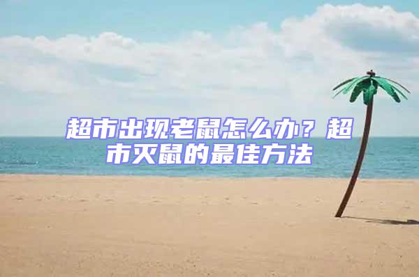 超市出現老鼠怎么辦?超市滅鼠的最佳方法