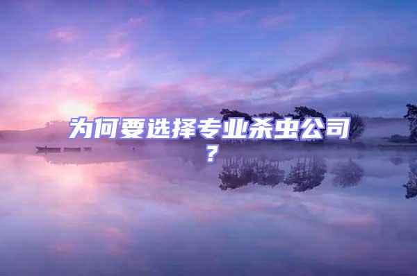 為何要選擇專業殺蟲公司?