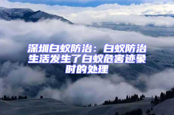 深圳白蟻防治:白蟻防治生活發(fā)生了白蟻危害跡象時(shí)的處理