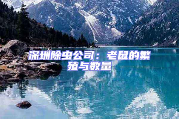 深圳除蟲公司:老鼠的繁殖與數(shù)量