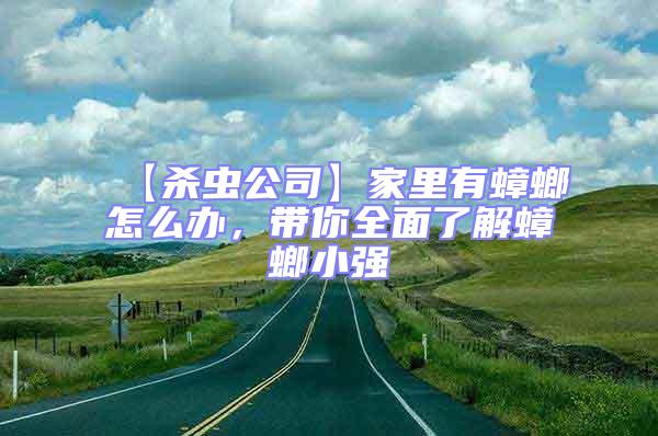 【殺蟲公司】家里有蟑螂怎么辦,帶你全面了解蟑螂小強