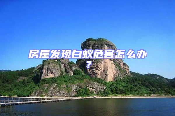 房屋發(fā)現(xiàn)白蟻危害怎么辦?