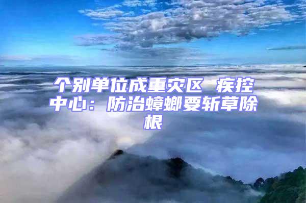 個別單位成重災區 疾控中心:防治蟑螂要斬草除根