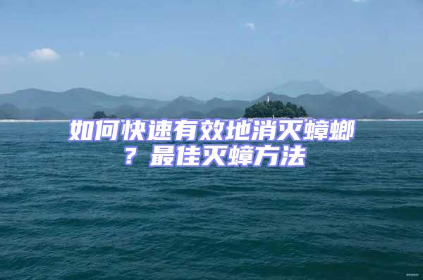 如何快速有效地消滅蟑螂?最佳滅蟑方法