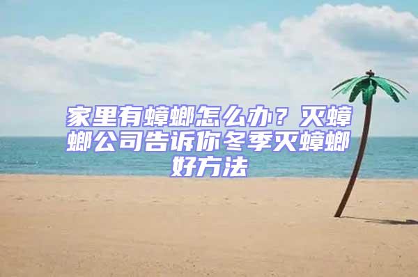 家里有蟑螂怎么辦?滅蟑螂公司告訴你冬季滅蟑螂好方法