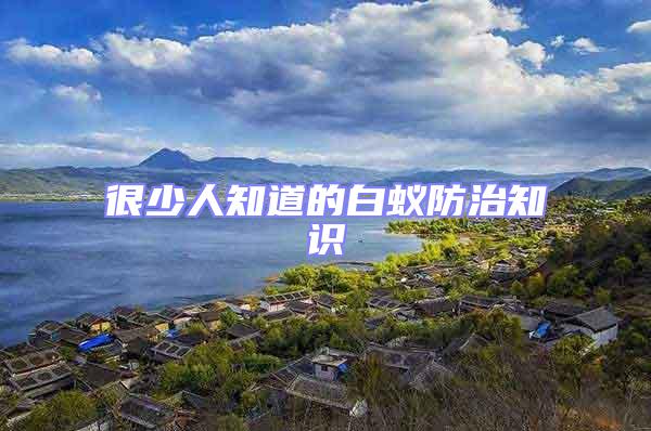 很少人知道的白蟻防治知識(shí)