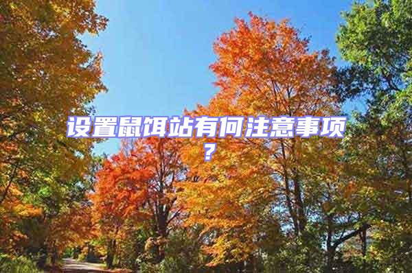 設置鼠餌站有何注意事項？