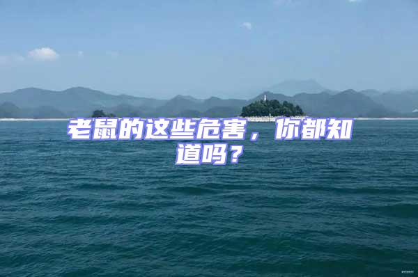老鼠的這些危害,你都知道嗎?