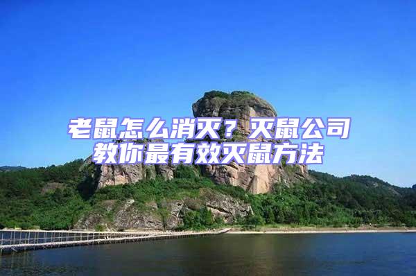 老鼠怎么消滅?滅鼠公司教你最有效滅鼠方法