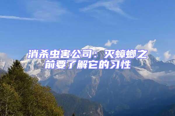 消殺蟲害公司:滅蟑螂之前要了解它的習性