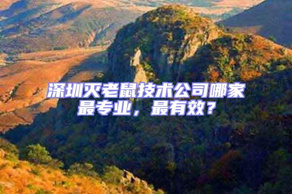 深圳滅老鼠技術(shù)公司哪家最專業(yè),最有效?