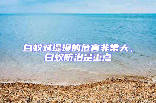 白蟻對堤壩的危害非常大,白蟻防治是重點