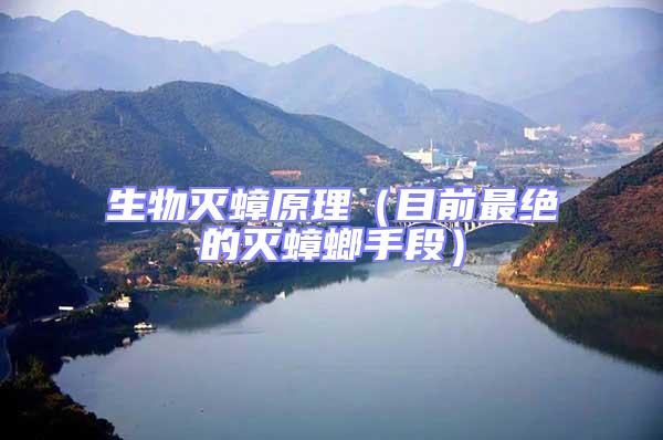生物滅蟑原理(目前最絕的滅蟑螂手段)