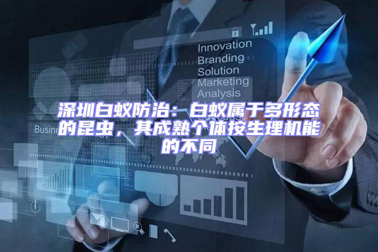 深圳白蟻防治:白蟻屬于多形態的昆蟲,其成熟個體按生理機能的不同
