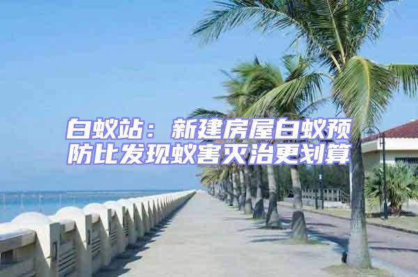 白蟻站:新建房屋白蟻預防比發現蟻害滅治更劃算
