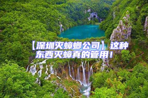 【深圳滅蟑螂公司】這種東西滅蟑真的管用!