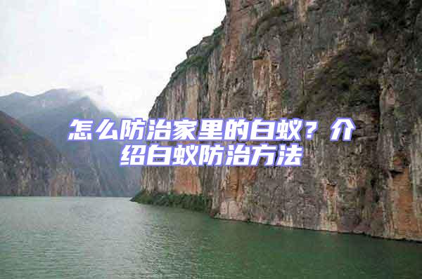 怎么防治家里的白蟻?介紹白蟻防治方法