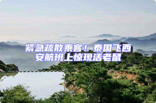 緊急疏散乘客！泰國飛西安航班上驚現(xiàn)活老鼠