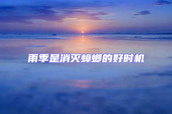雨季是消滅蟑螂的好時(shí)機(jī)